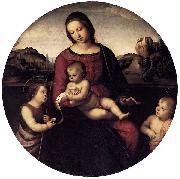 Maria mit Christuskind und zwei Heiligen, Tondo Raffaello